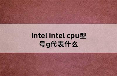 Intel intel cpu型号g代表什么